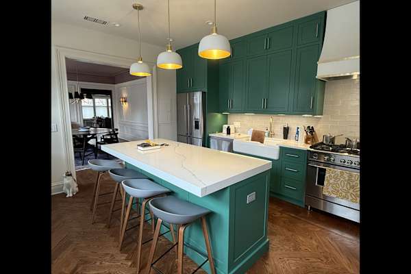 House sit in Chicago, IL, US