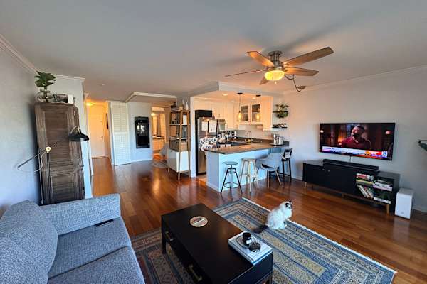 House sit in Newport Beach, CA, US