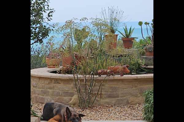 House sit in Ventnor, United Kingdom
