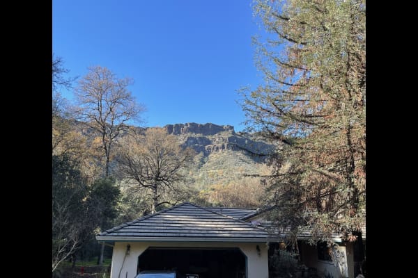 House sit in Chico, CA, US