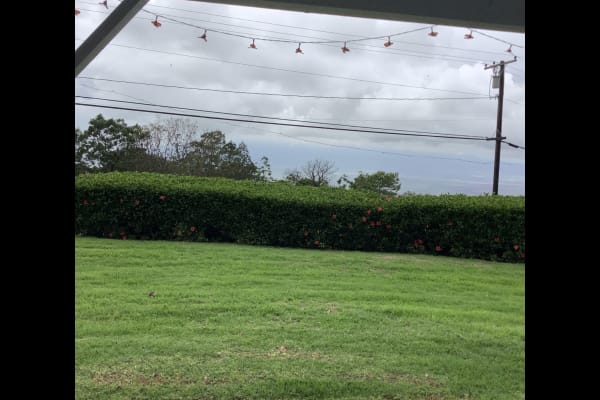 House sit in Kula, HI, US