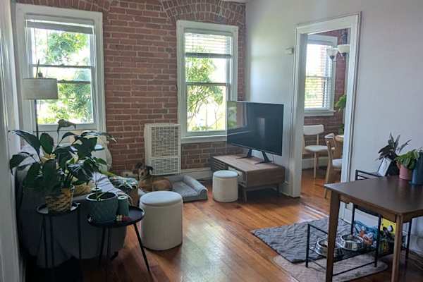 House sit in Los Angeles, CA, US