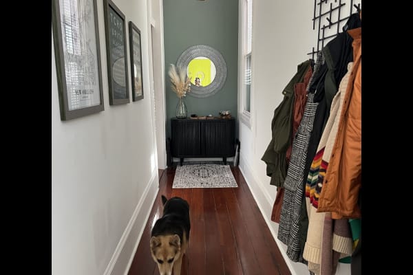 House sit in New Orleans, LA, US