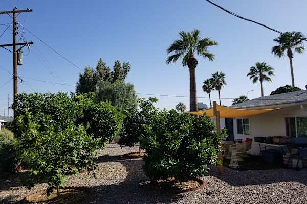 House sit in Mesa, AZ, US