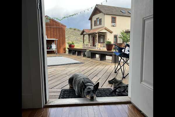 House sit in Ridgway, CO, US