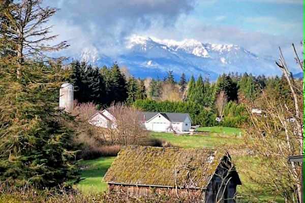 House sit in Sequim, WA, US