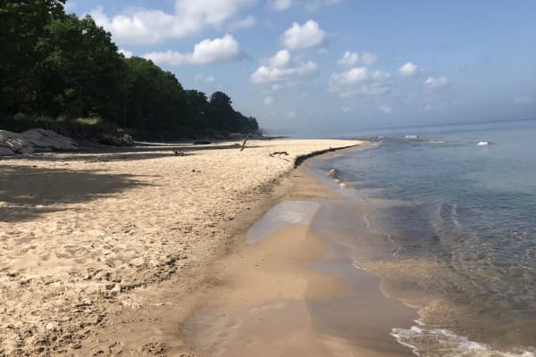 House sit in Bridgman, MI, US
