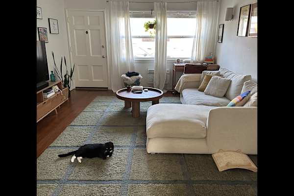 House sit in Los Feliz, CA, US