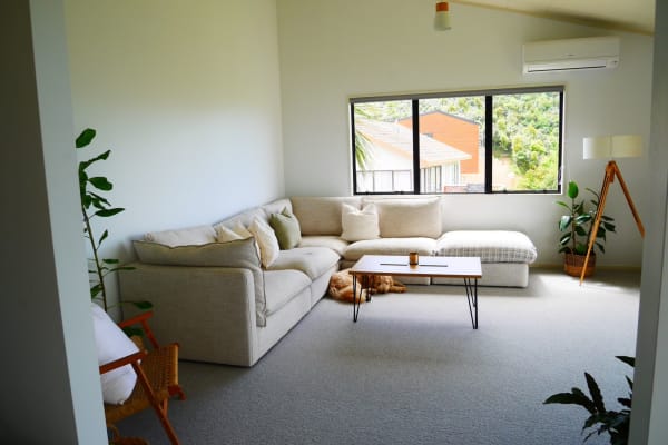 House sit in Wellington, New Zealand