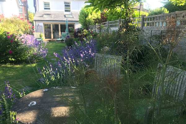 House sit in Poynings, United Kingdom