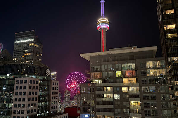 House sit in Toronto, ON, Canada