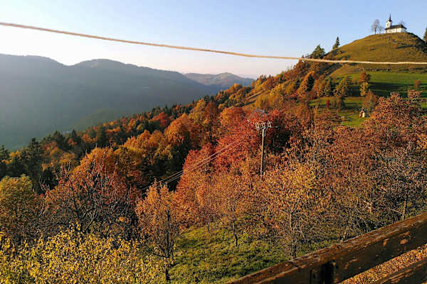 House sit in Ljubljana, Slovenia