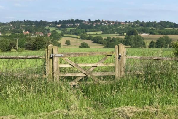 House sit in Goudhurst, United Kingdom