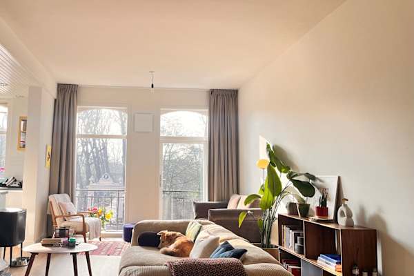 House sit in Amsterdam, Netherlands