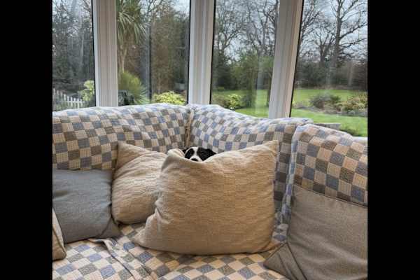 House sit in Musselburgh, United Kingdom