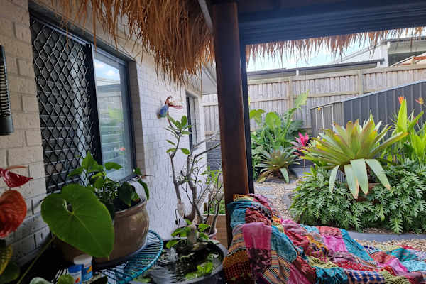 House sit in Brisbane, QLD, Australia
