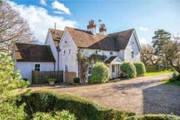 House sit in Bishops Stortford, United Kingdom