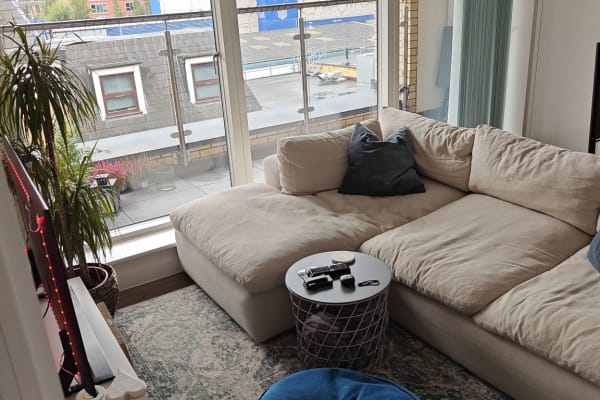 House sit in Clapham Junction, United Kingdom