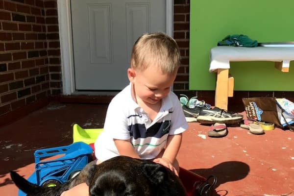 House sit in Ottawa, ON, Canada