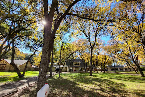 House sit in Austin, TX, US