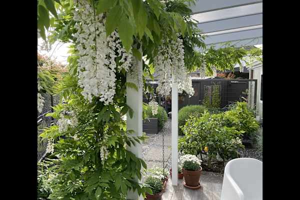 House sit in Port Motueka, New Zealand