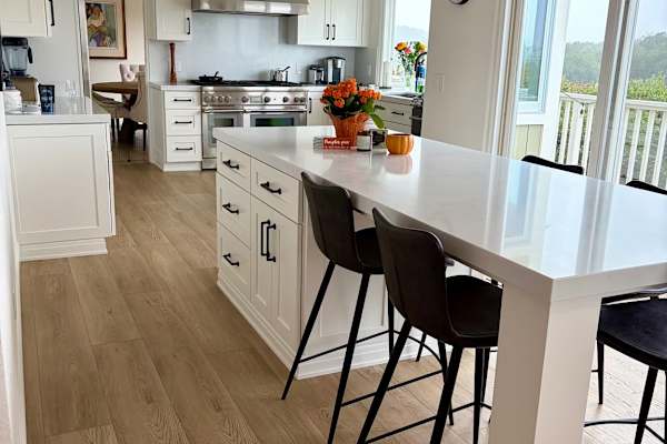 House sit in Novato, CA, US