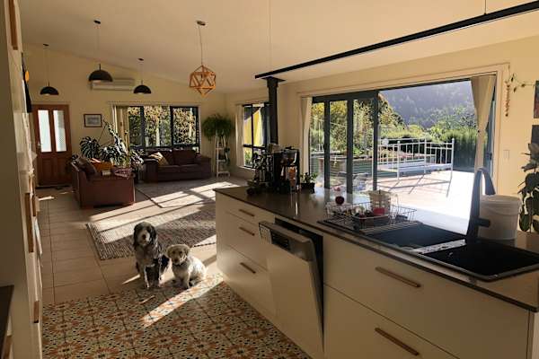 House sit in Cygnet, TAS, Australia