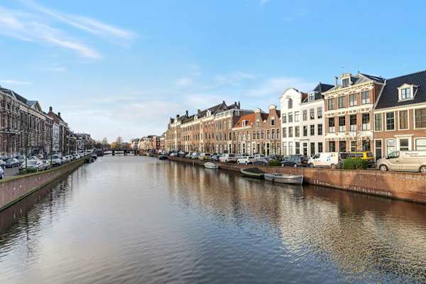 House sit in Haarlem, Netherlands