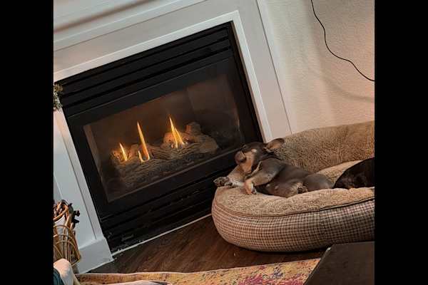 House sit in Lone Tree, CO, US