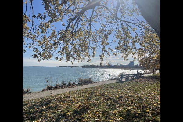 House sit in Evanston, IL, US