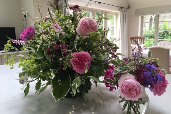 House sit in Penselwood, United Kingdom