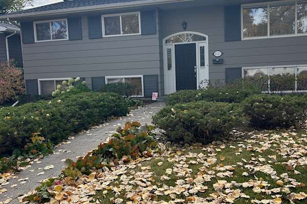 House sit in Calgary, AB, Canada