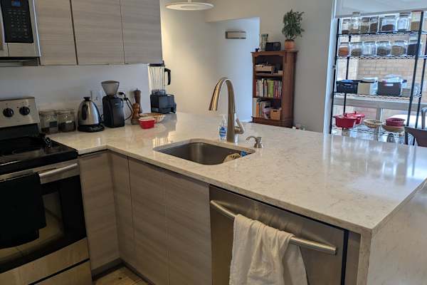 House sit in Detroit, MI, US