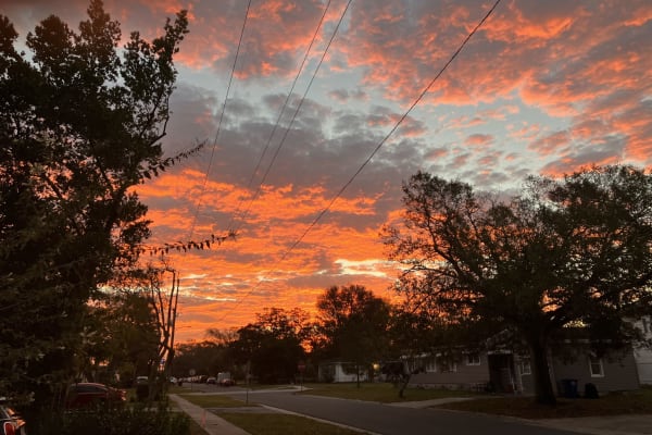 House sit in St. Petersburg, FL, US