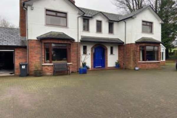 House sit in Antrim, United Kingdom