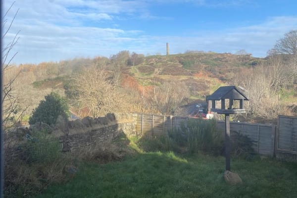 House sit in Bristol, United Kingdom