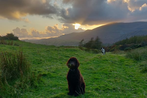 House sit in Coniston, United Kingdom