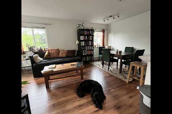 House sit in Squamish, BC, Canada