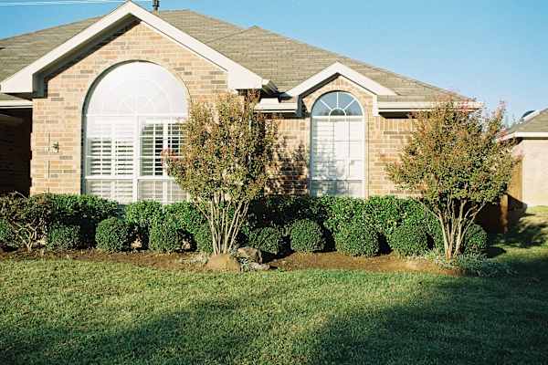 House sit in Lewisville, TX, US