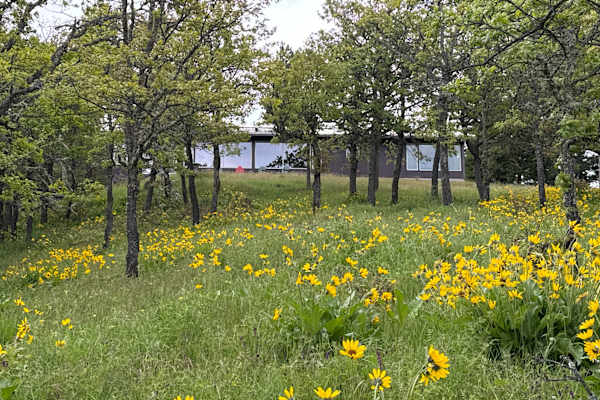 House sit in Mosier, OR, US