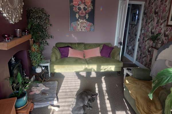 House sit in Rochester, United Kingdom