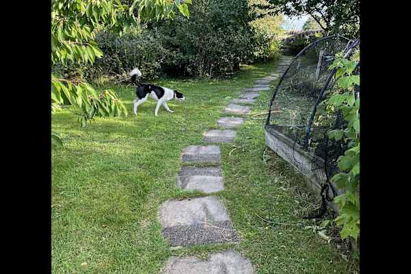 House sit in Bingley, United Kingdom