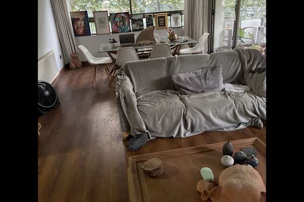 House sit in Santiago, Chile
