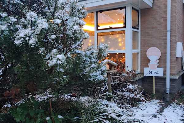 House sit in Nijmegen, Netherlands