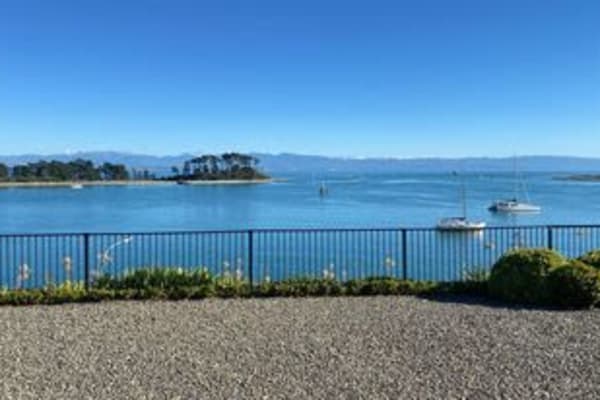 House sit in Nelson, New Zealand