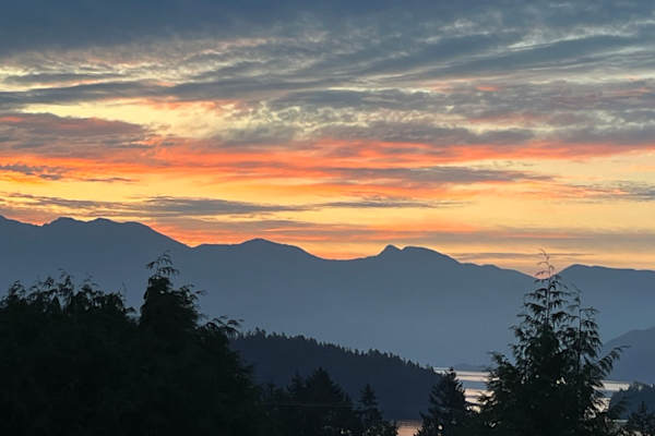 House sit in Gibsons, BC, Canada