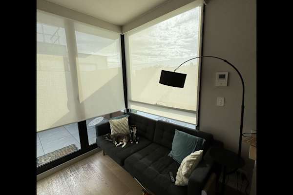 House sit in Melbourne, VIC, Australia