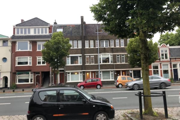 House sit in Groningen, Netherlands