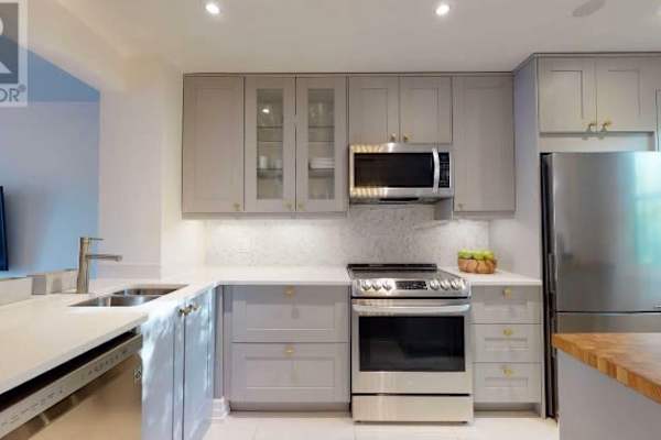 House sit in Toronto, ON, Canada