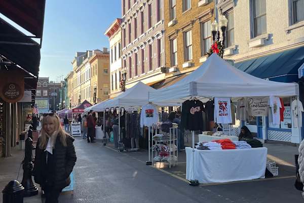 House sit in Cincinnati, OH, US